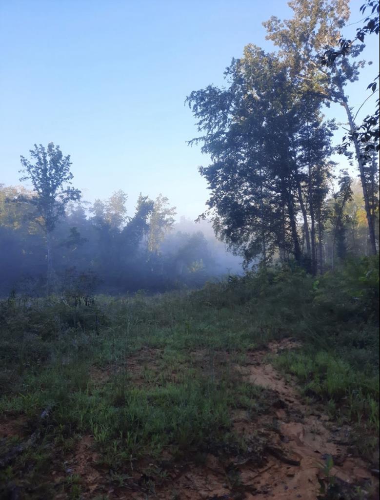 4889 NW Willow Grove Hwy