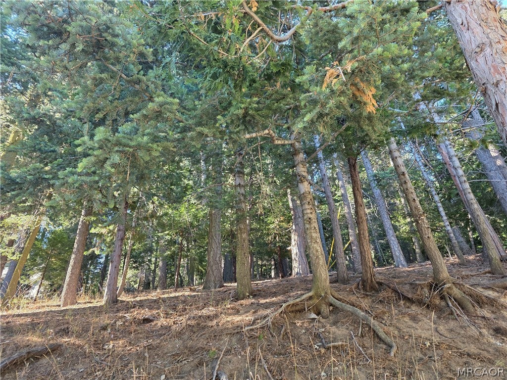 Photo of 0 Altdorf Dr,, Crestline, CA 92325 (MLS # 32602211)