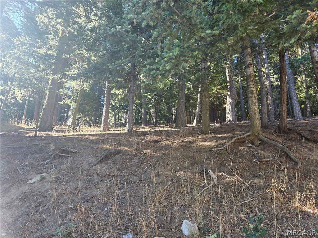 Photo of 0 Altdorf Dr,, Crestline, CA 92325 (MLS # 32602211)