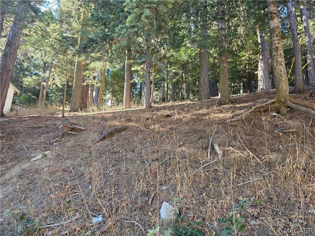 Photo of 0 Altdorf Dr,, Crestline, CA 92325 (MLS # 32602211)