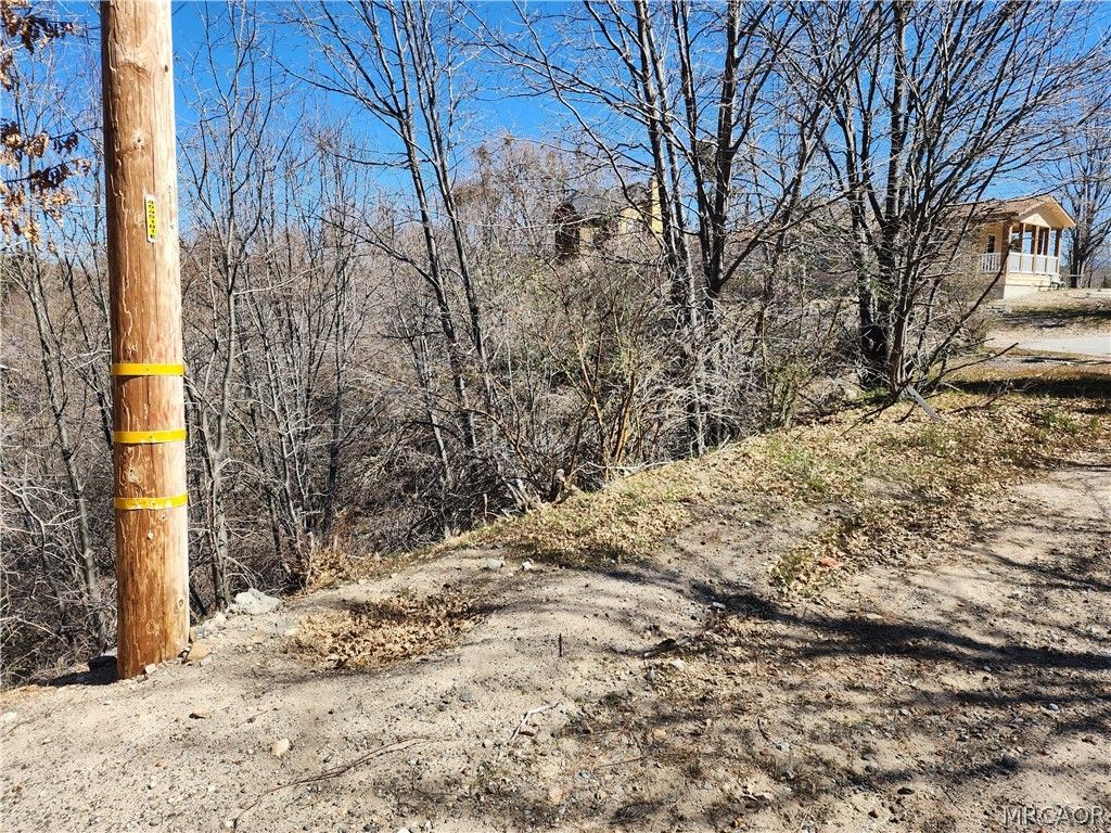 Photo of 0 Elder Drive, Cedar Glen, CA 92321 (MLS # 32600551)