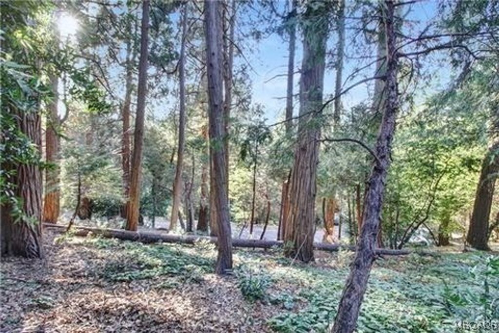 Photo of 0-2661 Scenic Drive, Crestline, CA 92325 (MLS # 32600011)
