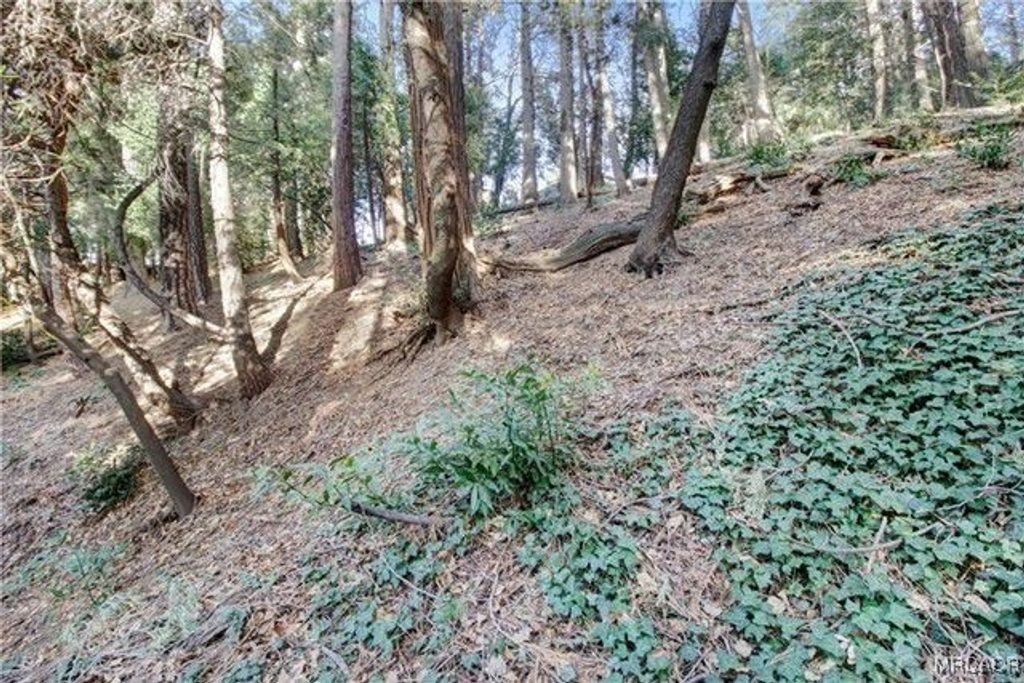 Photo of 0-2661 Scenic Drive, Crestline, CA 92325 (MLS # 32600011)