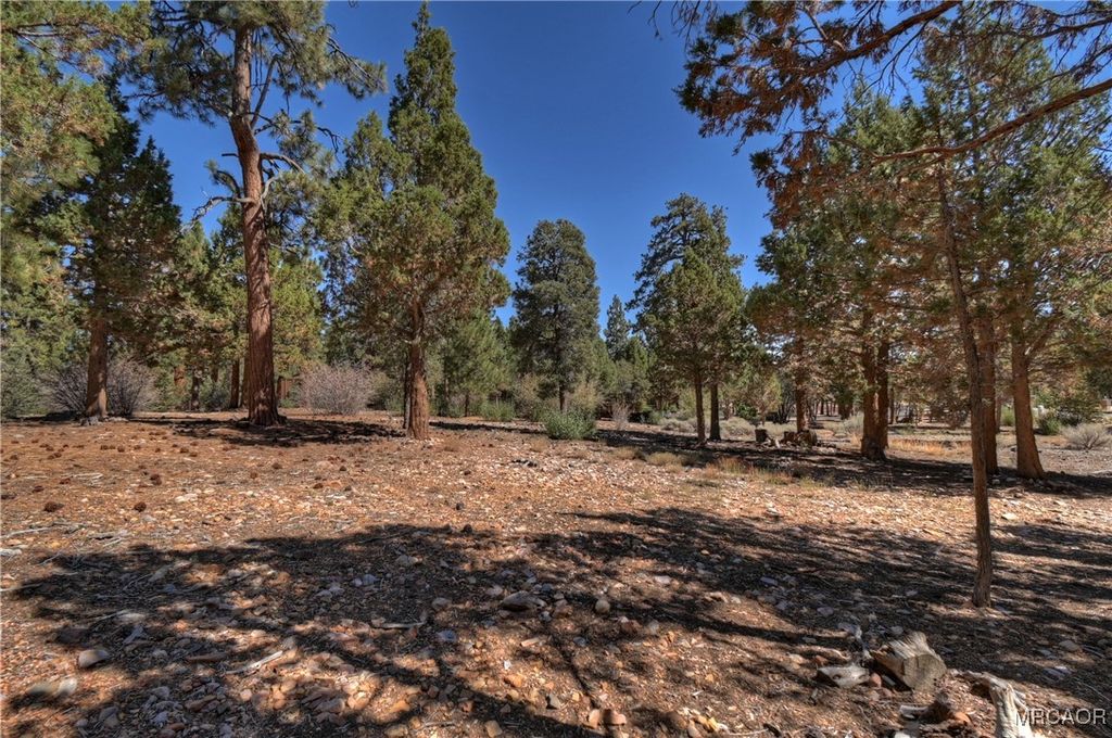 Photo of 0 Heritage Trail, Big Bear City, CA 92314 (MLS # 32502409)