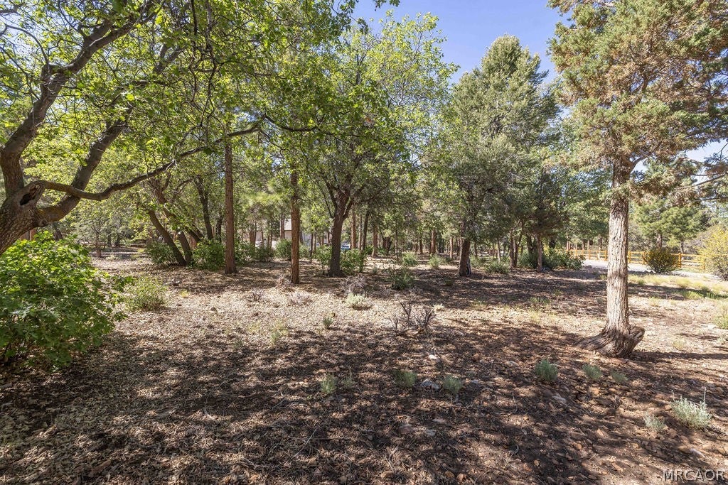 Photo of 655 Cedar Glen Drive, Big Bear City, CA 92314 (MLS # 32601402)