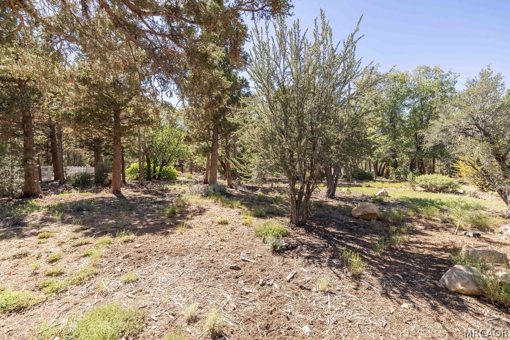 Photo of 655 Cedar Glen Drive, Big Bear City, CA 92314 (MLS # 32601402)