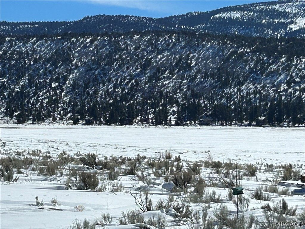 Photo of 45935 Parkway Drive, Big Bear City, CA 92314 (MLS # 32502852)