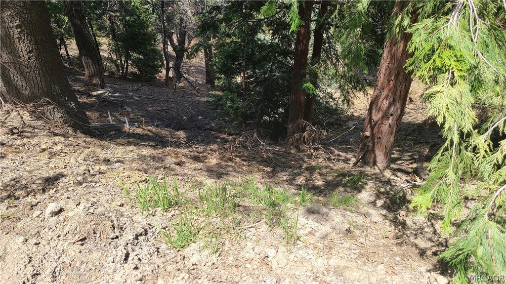 Photo of 29186 Arrowhead Drive, Cedar Glen, CA 92321 (MLS # 32602434)