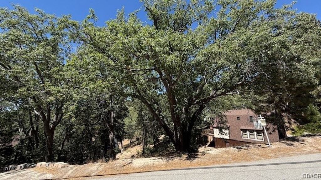Photo of 736 Dahlia Drive, Green Valley Lake, CA 92341 (MLS # 32502121)