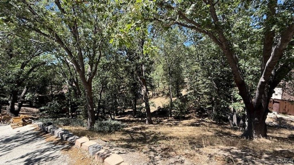 Photo of 736 Dahlia Drive, Green Valley Lake, CA 92341 (MLS # 32502121)