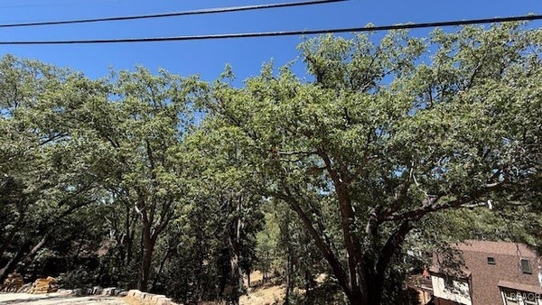 736 DAHLIA DR, GREEN VALLEY LAKE, CA 92341 - Image 1756af8187d645bca8df8eedcfd4d33b/844444263