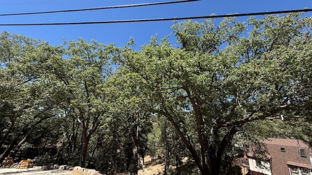 Photo of 736 Dahlia Drive, Green Valley Lake, CA 92341 (MLS # 32502121)