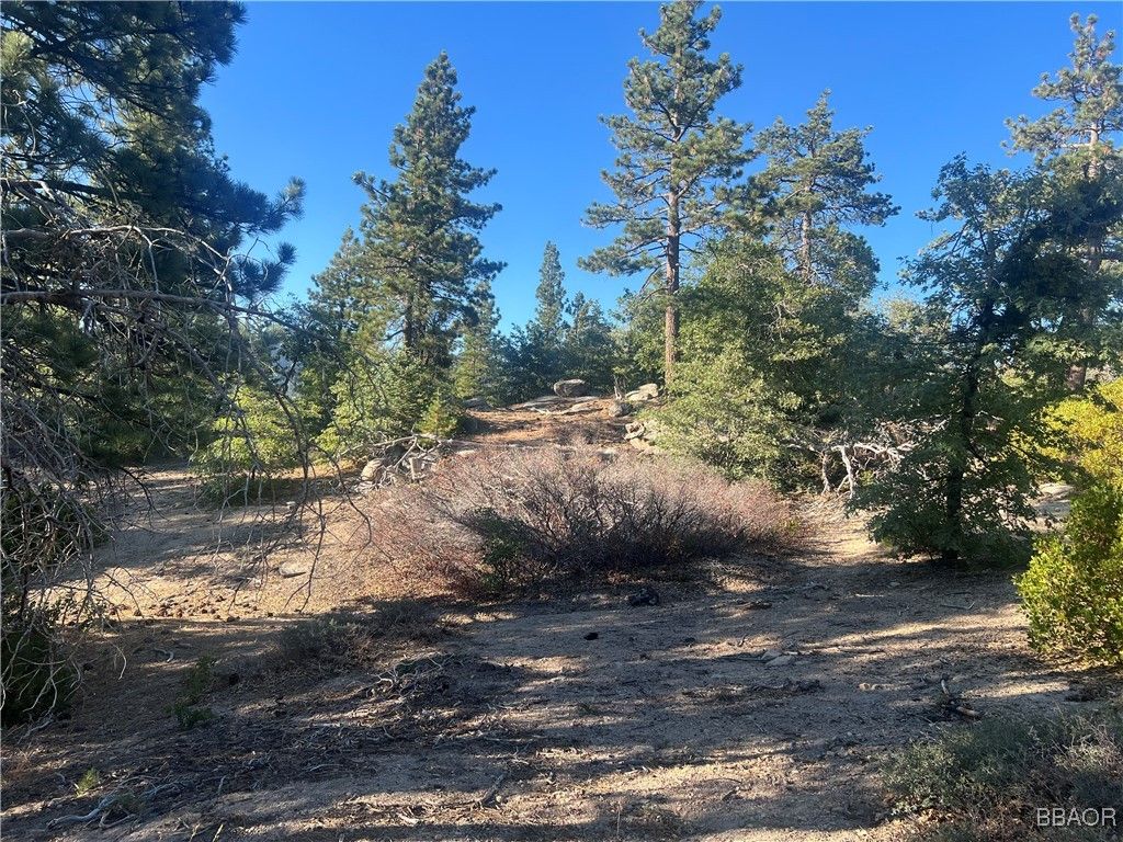 Photo of 00 Deer Lick Drive, Arrowbear, CA 92382 (MLS # 32501910)