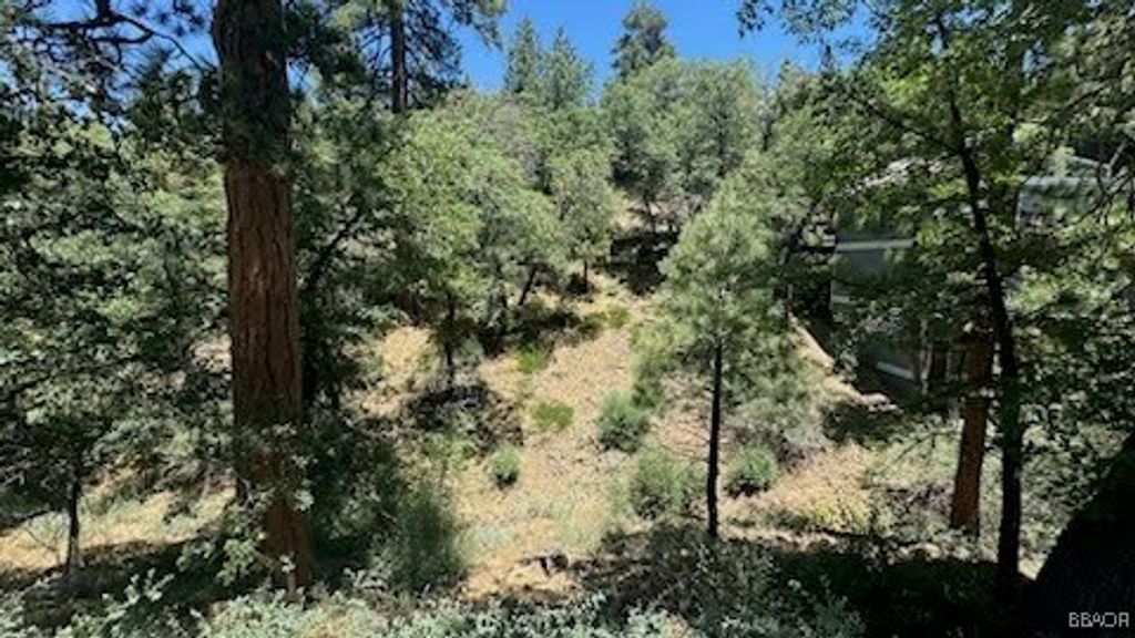 Photo of 1230 S Minton Avenue, Big Bear City, CA 92314 (MLS # 32500751)
