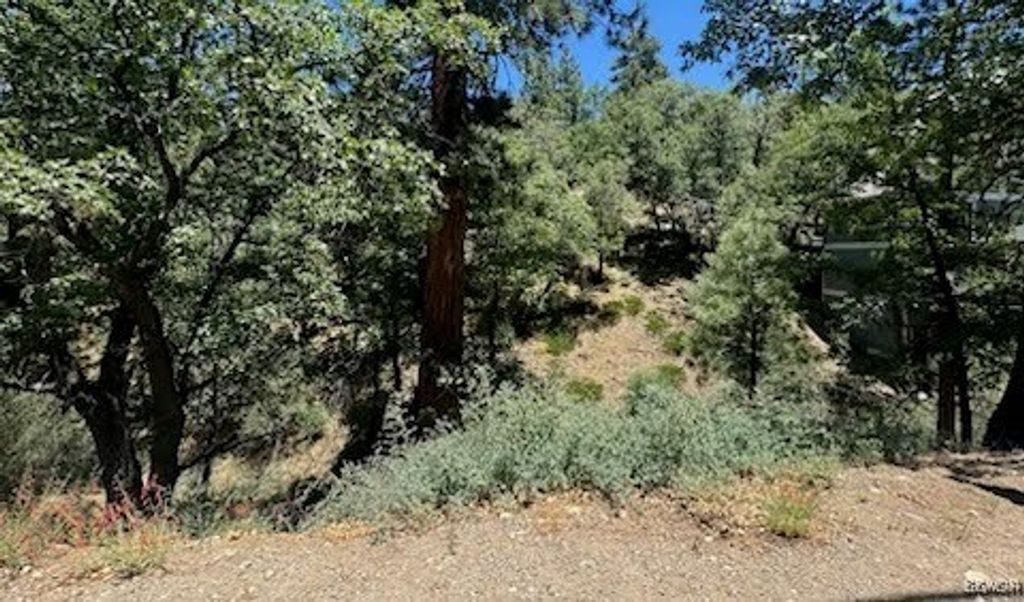 Photo of 1230 S Minton Avenue, Big Bear City, CA 92314 (MLS # 32500751)