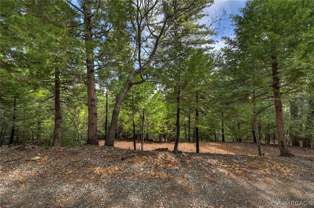 Photo of 0 Stonehill Drive, Lake Arrowhead, CA 92385 (MLS # 32600892)