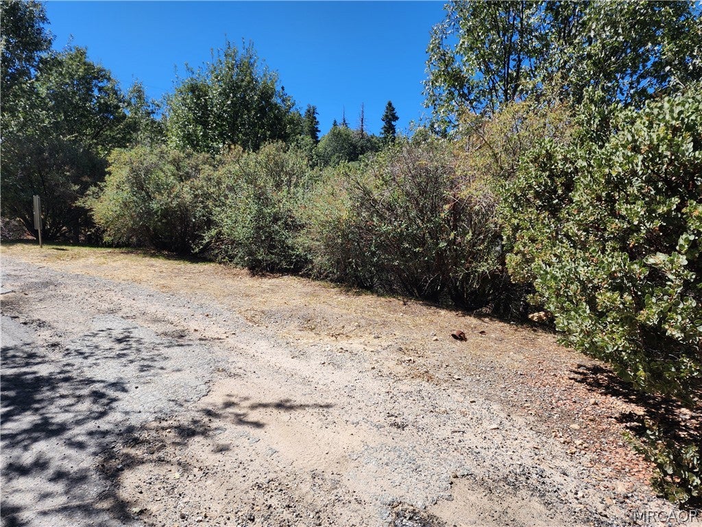 Photo of 522 Elder Drive, Cedar Glen, CA 92321 (MLS # 32602182)