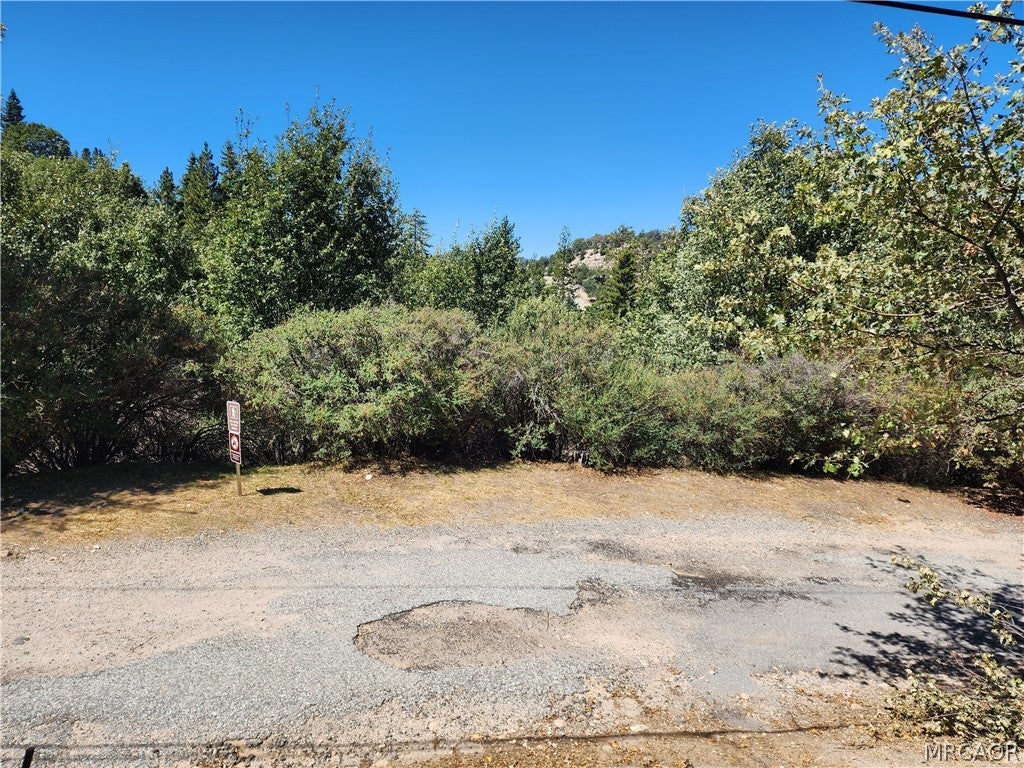 Photo of 522 Elder Drive, Cedar Glen, CA 92321 (MLS # 32602182)