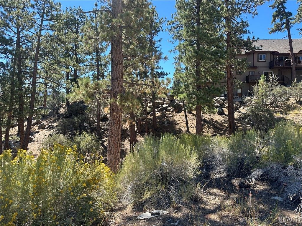 Photo of 371 Sunrise Way, Big Bear Lake, CA 92315 (MLS # 32502173)