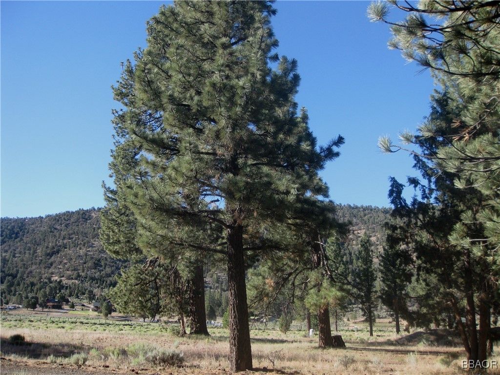 Photo of 2824 Erwin Ranch Road, Big Bear City, CA 92314 (MLS # 32501628)