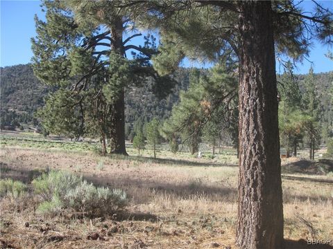 Photo of 2824 Erwin Ranch Road, Big Bear City, CA 92314 (MLS # 32501628)