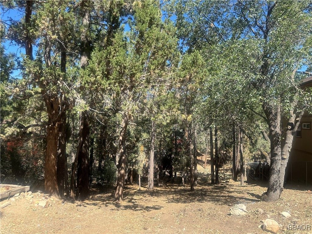 Photo of 0 Imperial Avenue, Sugarloaf, CA 92386 (MLS # 32502110)