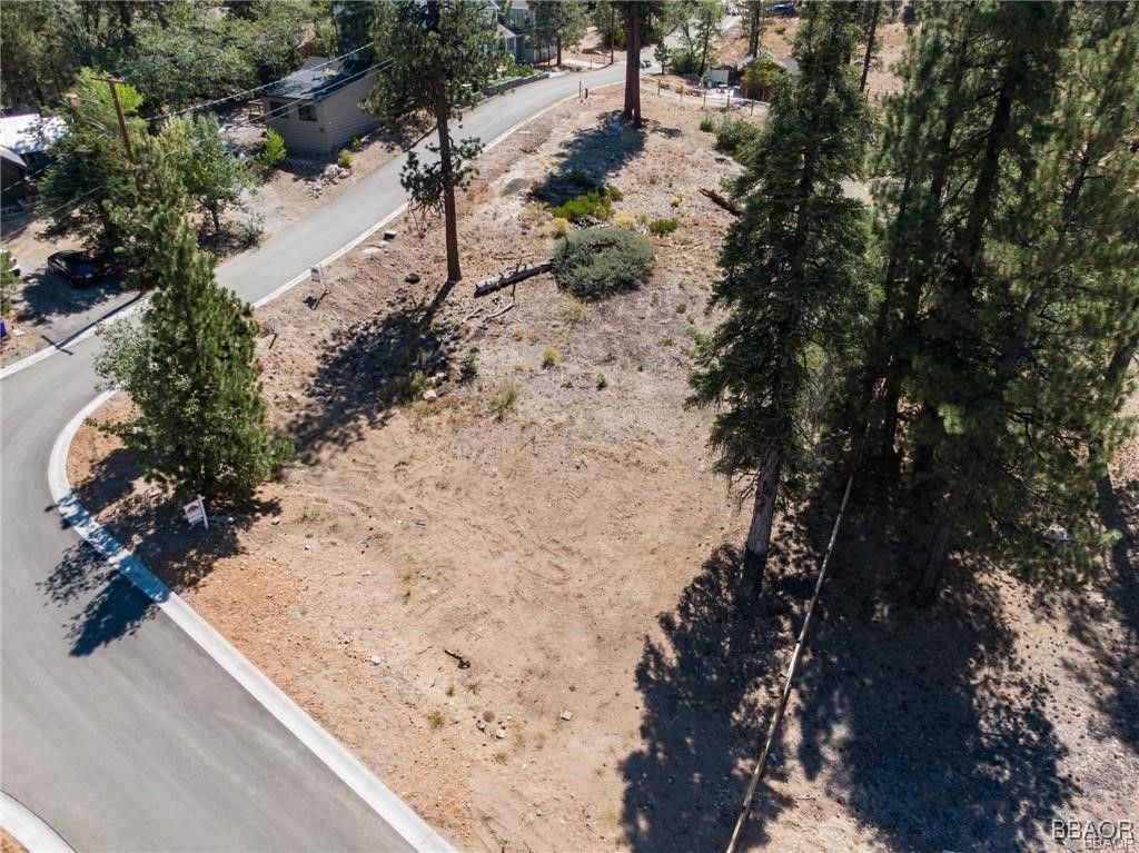Photo of 810 Talmadge Road, Big Bear Lake, CA 92315 (MLS # 32405942)