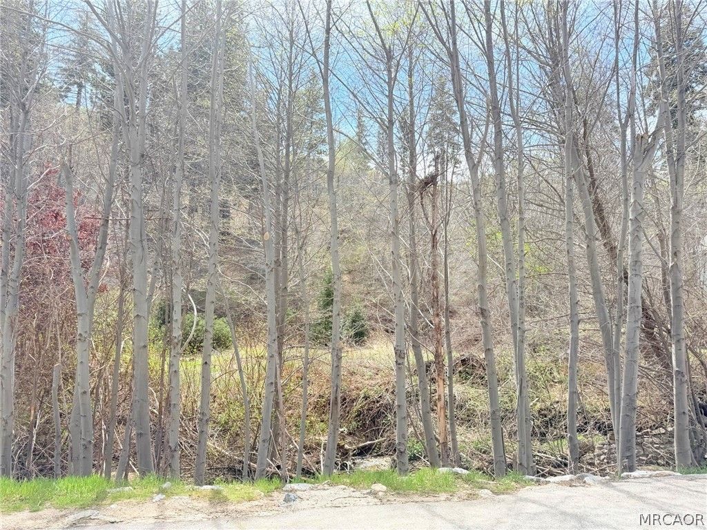 Photo of 29949 Hook Creek Road, Cedar Glen, CA 92321 (MLS # 32600721)