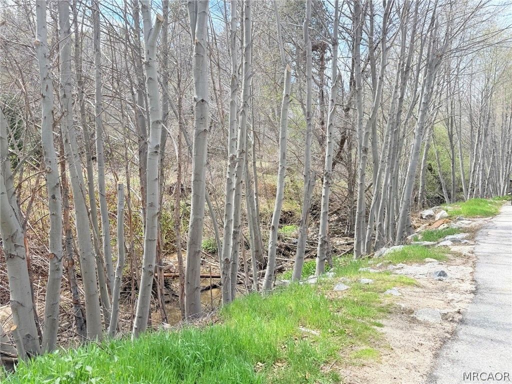 Photo of 29949 Hook Creek Road, Cedar Glen, CA 92321 (MLS # 32600721)