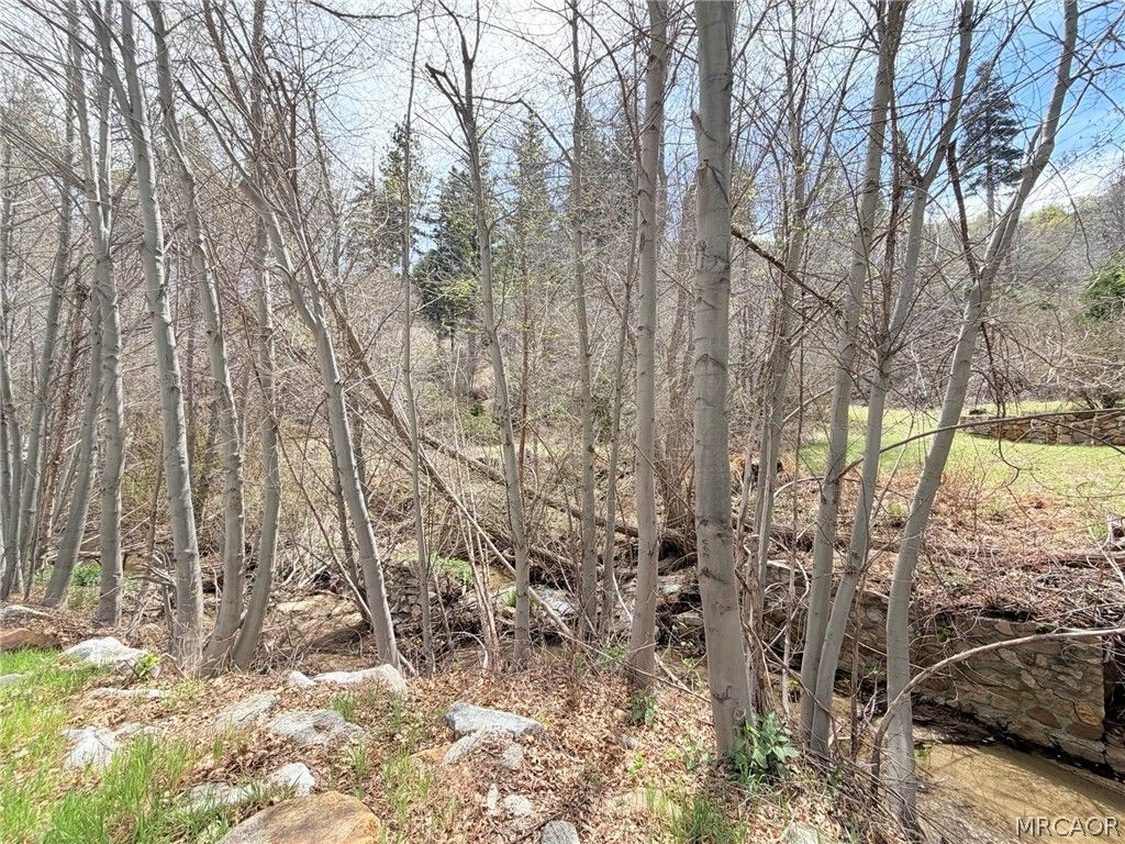 Photo of 29949 Hook Creek Road, Cedar Glen, CA 92321 (MLS # 32600721)