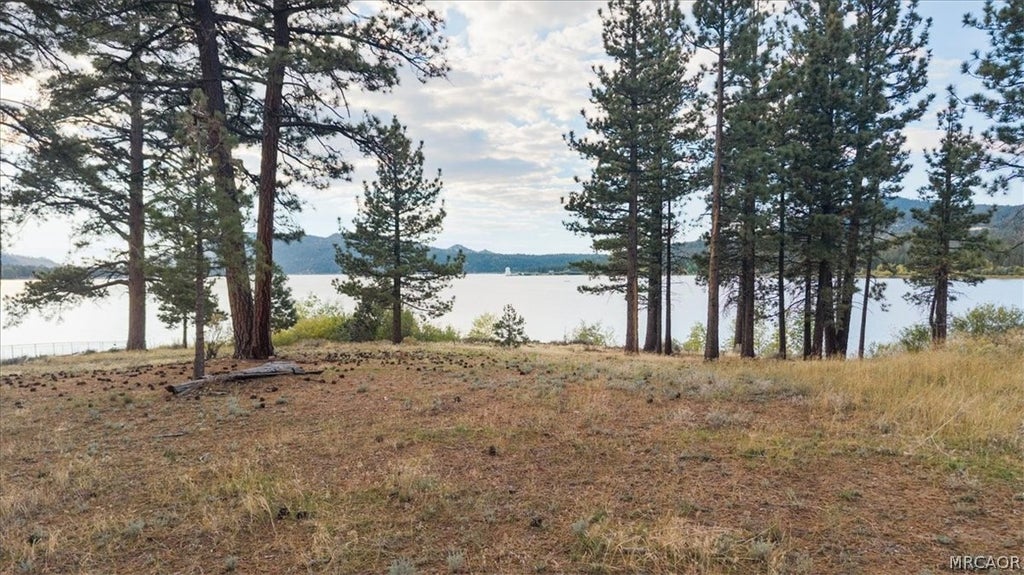 Photo of 250 Eagle Drive, Big Bear Lake, CA 92315 (MLS # 32602370)