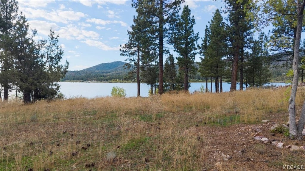 Photo of 250 Eagle Drive, Big Bear Lake, CA 92315 (MLS # 32602370)