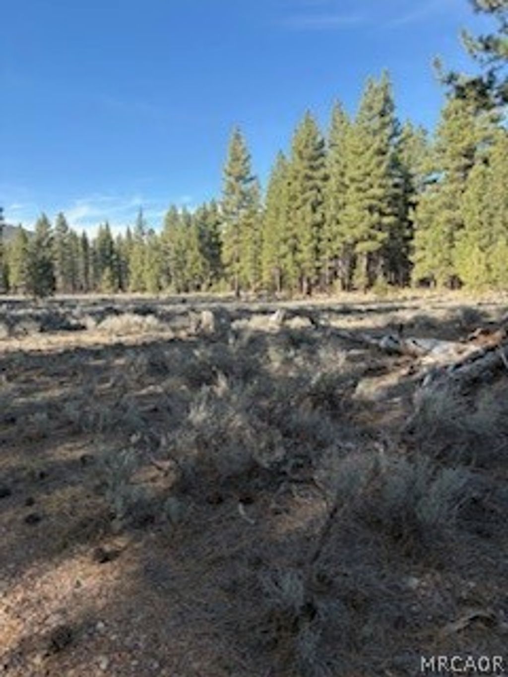 Photo of 34557 Polique Canyon Trail, Fawnskin, CA 92333 (MLS # 32600606)