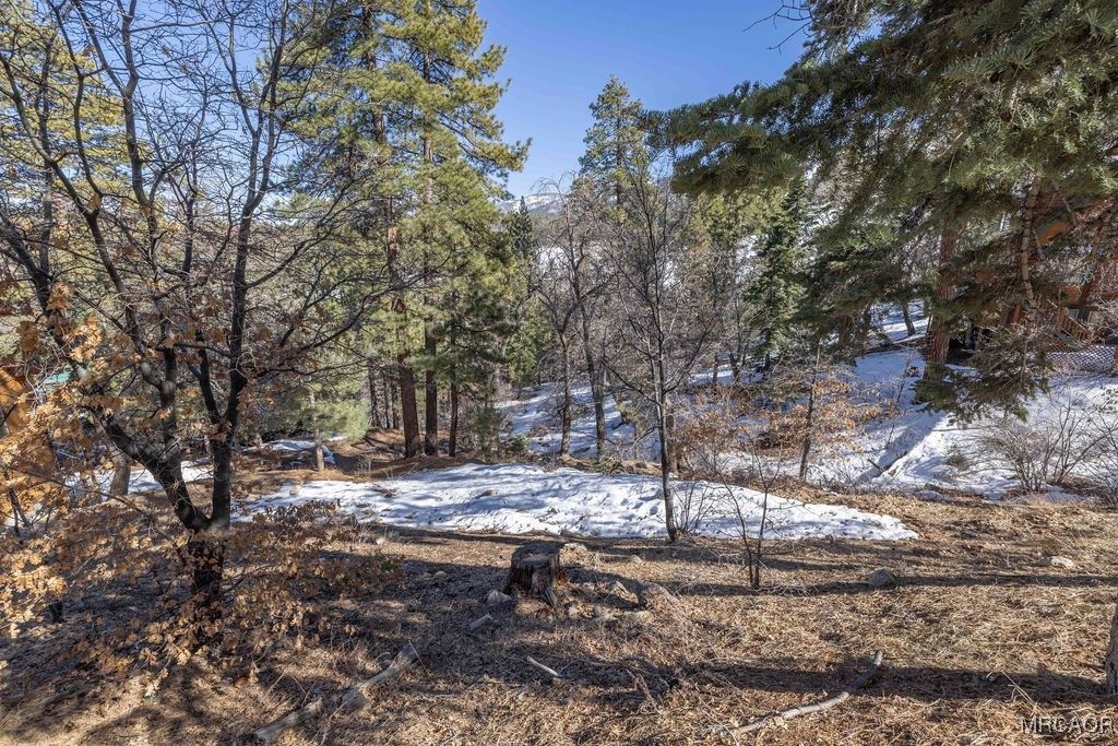 Photo of 0 Pigeon Road, Big Bear Lake, CA 92315 (MLS # 32502561)