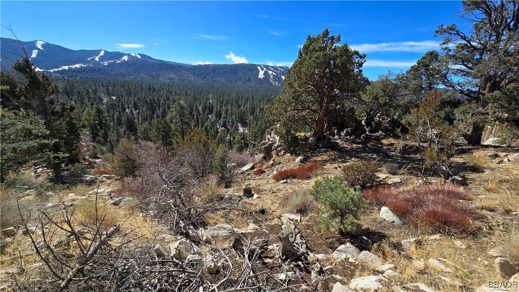 Photo of 42535 Pegasus Way, Big Bear Lake, CA 92315 (MLS # 32500308)