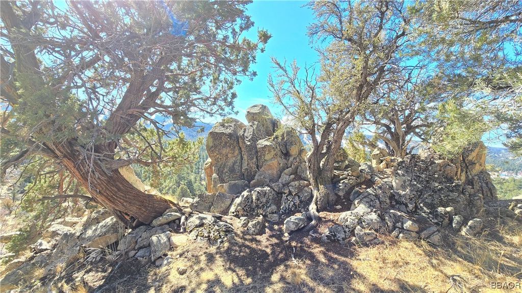 Photo of 42535 Pegasus Way, Big Bear Lake, CA 92315 (MLS # 32500308)