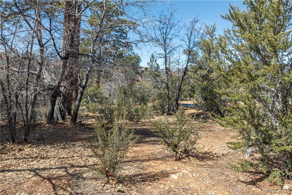 Photo of 1603 Angels Camp Road, Big Bear City, CA 92314 (MLS # 32600457)