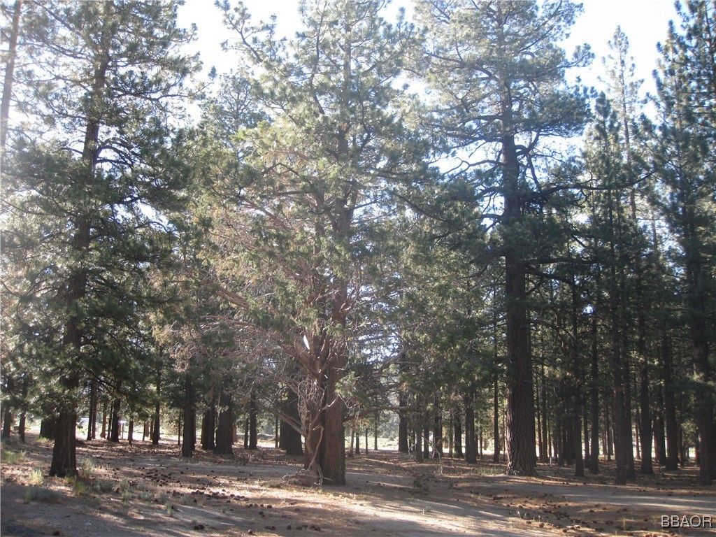 Photo of 2818 Erwin Ranch Road, Big Bear City, CA 92314 (MLS # 32501626)