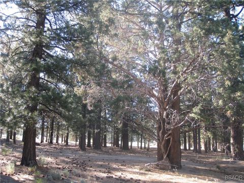 Photo of 2818 Erwin Ranch Road, Big Bear City, CA 92314 (MLS # 32501626)