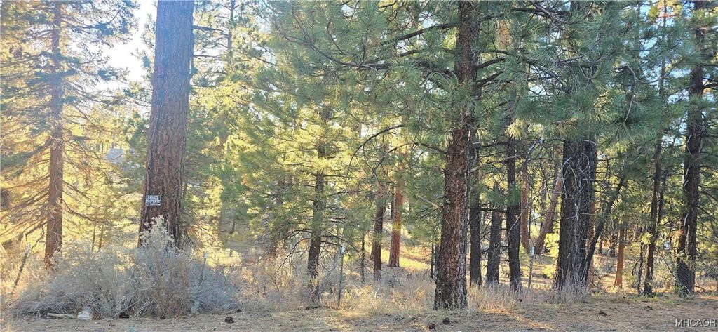 Photo of 142 Olympic Dr., Big Bear Lake, CA 92315 (MLS # 32502806)