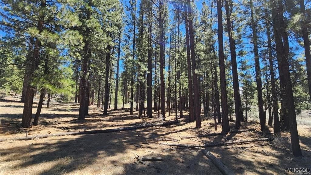 Photo of 142 Olympic Dr., Big Bear Lake, CA 92315 (MLS # 32502806)