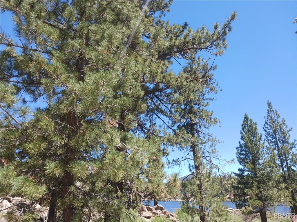 Photo of 0 Big Bear Boulevard, Big Bear Lake, CA 92315 (MLS # 32501866)
