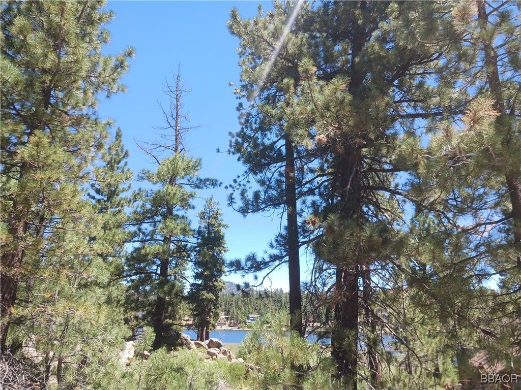 Photo of 0 Big Bear Boulevard, Big Bear Lake, CA 92315 (MLS # 32501866)