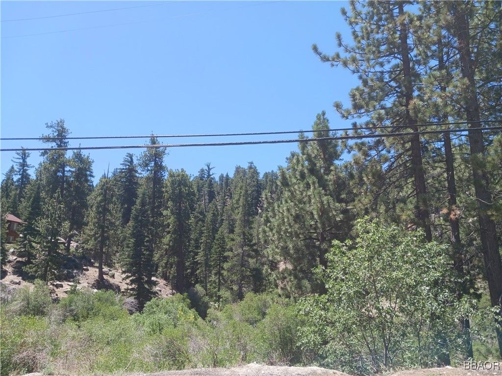 Photo of 0 Big Bear Boulevard, Big Bear Lake, CA 92315 (MLS # 32501866)