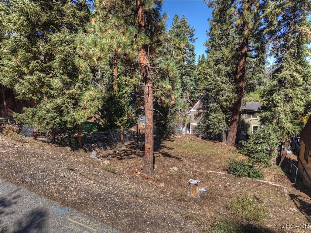 Photo of 42994 Falls Avenue, Big Bear Lake, CA 92315 (MLS # 32502415)