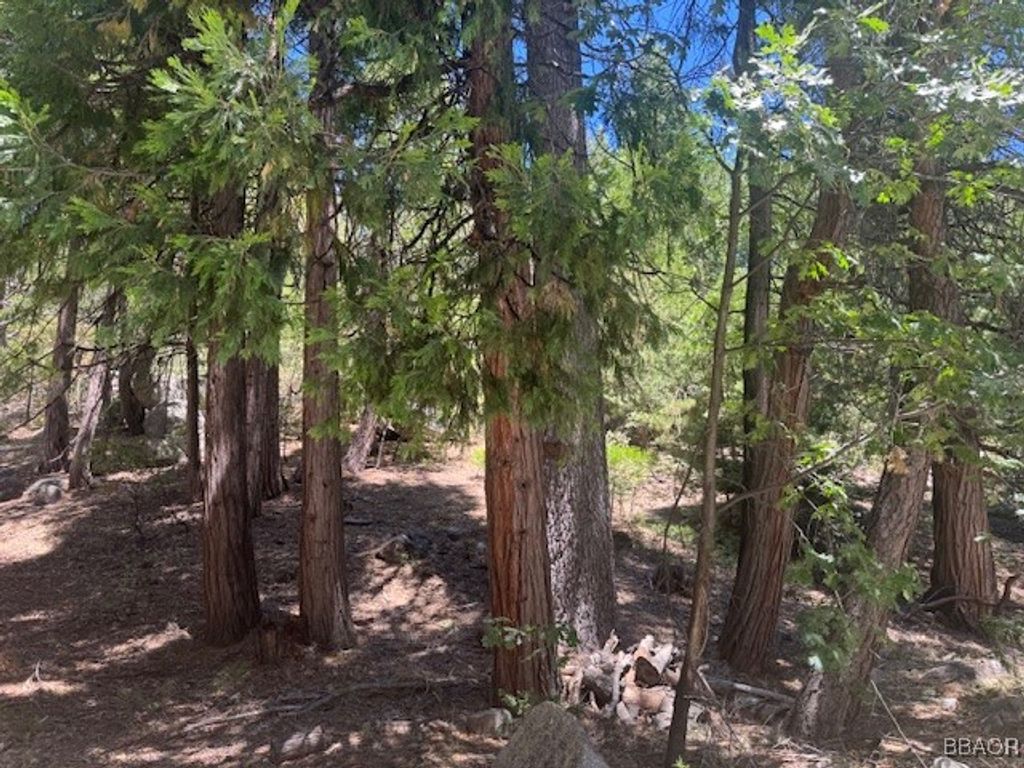 Photo of 27476 Cedarwood Court, Lake Arrowhead, CA 92352 (MLS # 32501714)