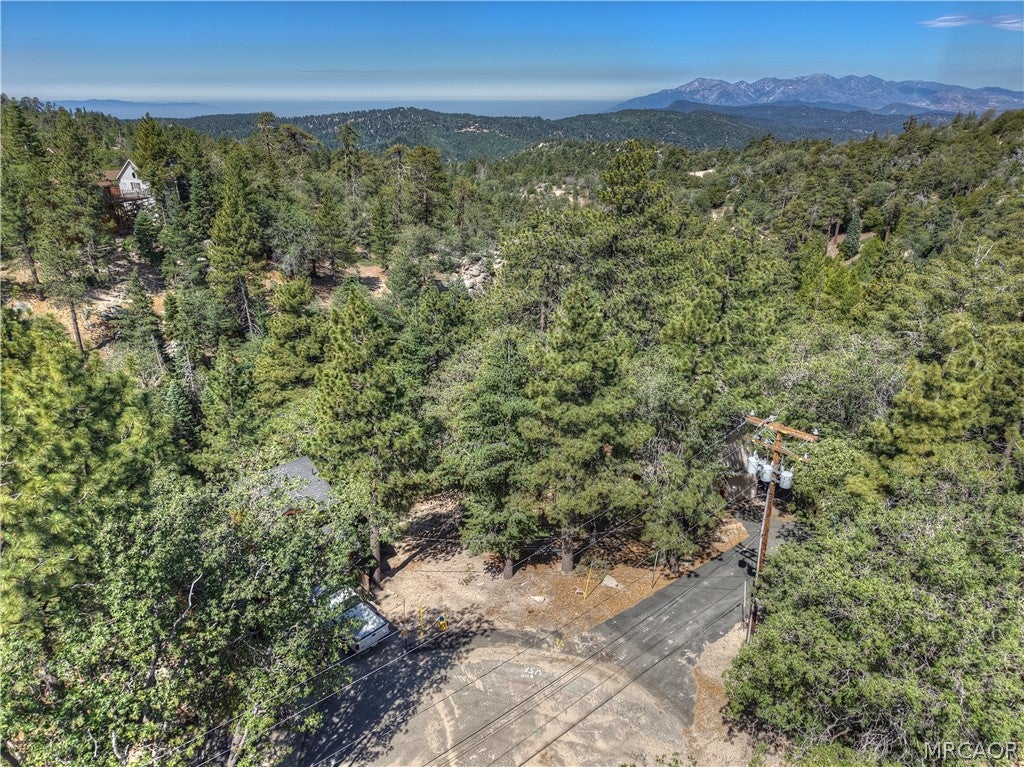 Photo of 0 Maple Lane, Green Valley Lake, CA 92341 (MLS # 32601501)