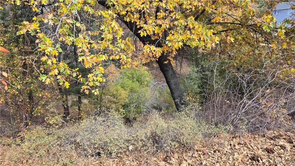 Photo of 1000 Butte Avenue, Big Bear City, CA 92314 (MLS # 32502598)