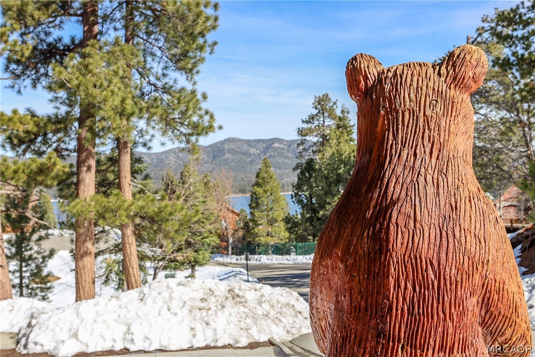 Big Bear Lake, California, 92315, United States, 6 Bedrooms Bedrooms, ,5 BathroomsBathrooms,Residential,Active,2028781