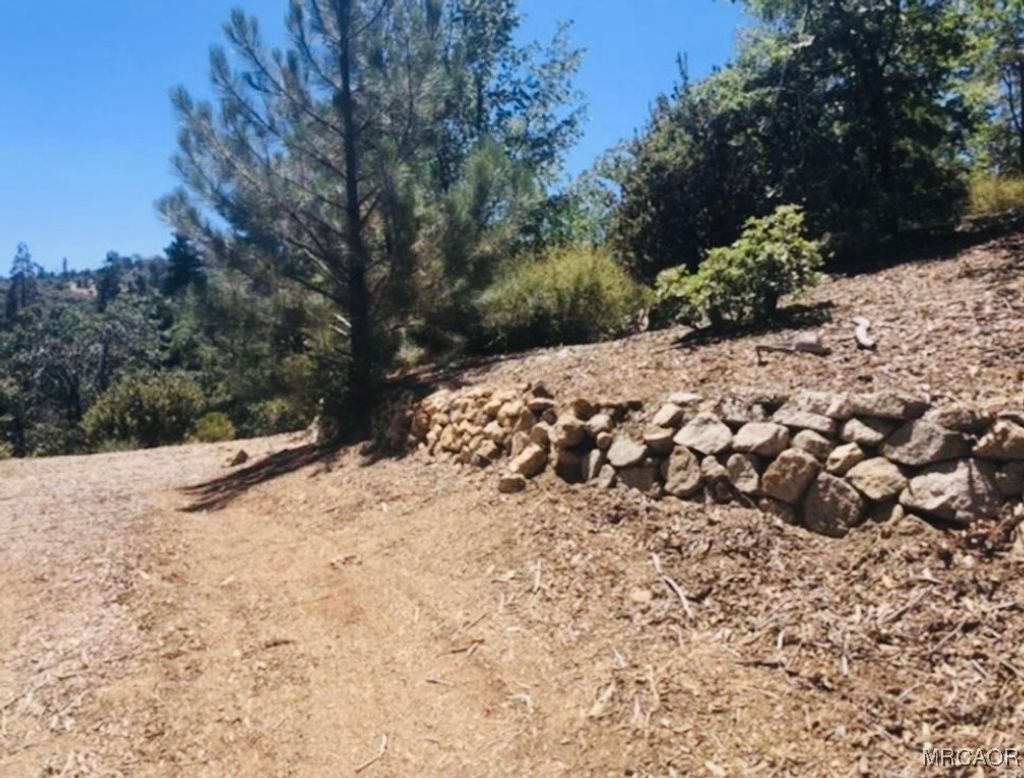Photo of 508 Redwood Road, Cedar Glen, CA 92321 (MLS # 32502258)